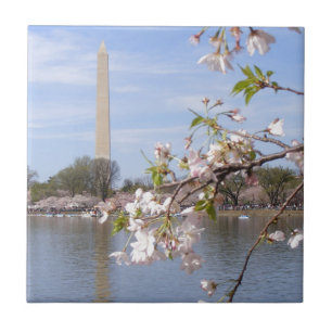 Washington Monument Beautiful Gifts Tile