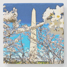 Washington Monument + Blossoms II Stone Coaster
