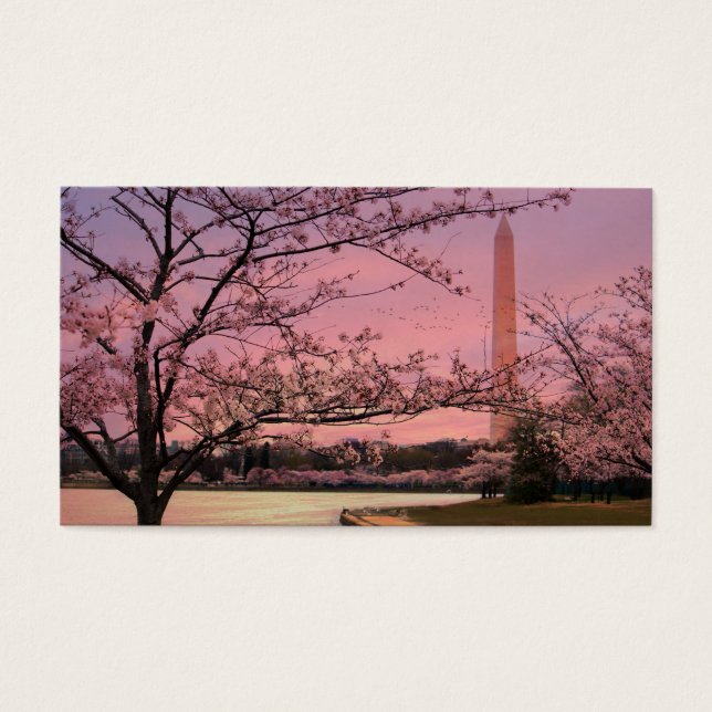 Washington Monument Cherry Blossom Festival (Front)