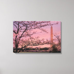 Washington Monument Cherry Blossom Festival Canvas Print
