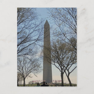 Washington Monument Cherry Blossom Festival Postcard