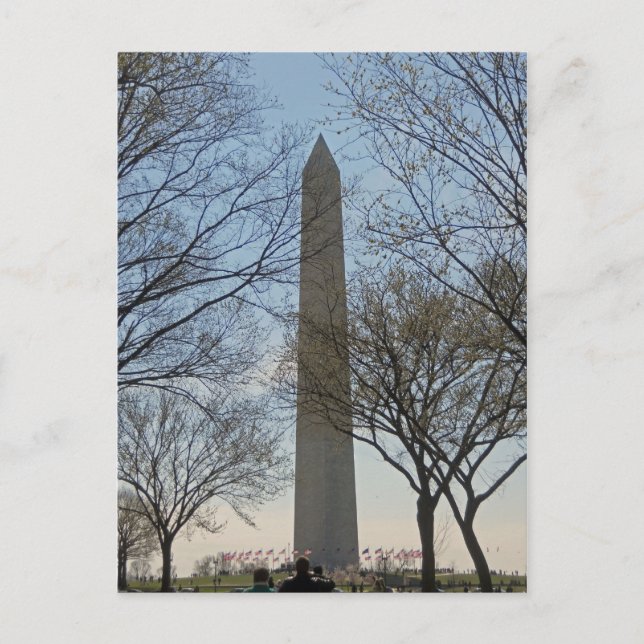 Washington Monument Cherry Blossom Festival Postcard (Front)