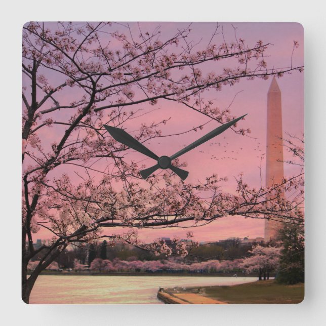 Washington Monument Cherry Blossom Festival Square Wall Clock (Front)