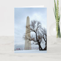 Washington Monument in Winter