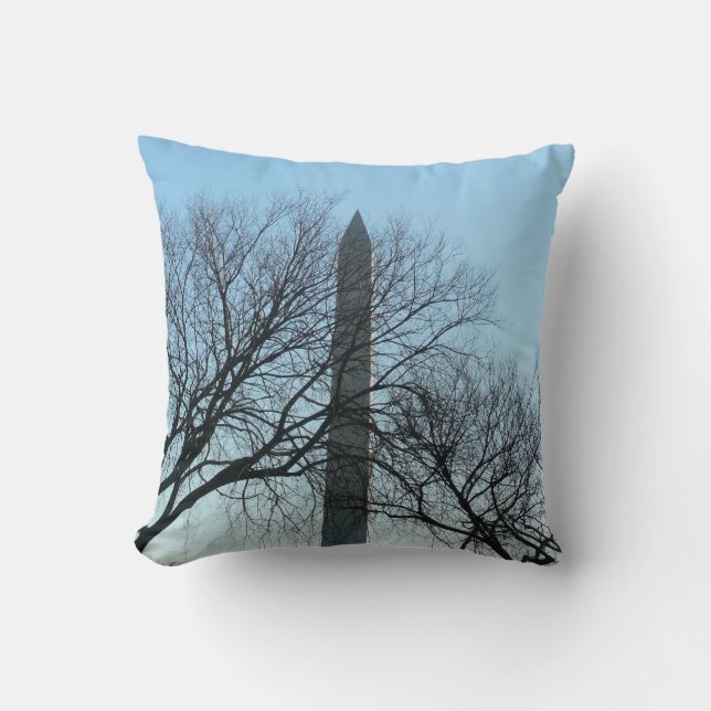Washington Monument in Winter I Landscape Cushion (Front)