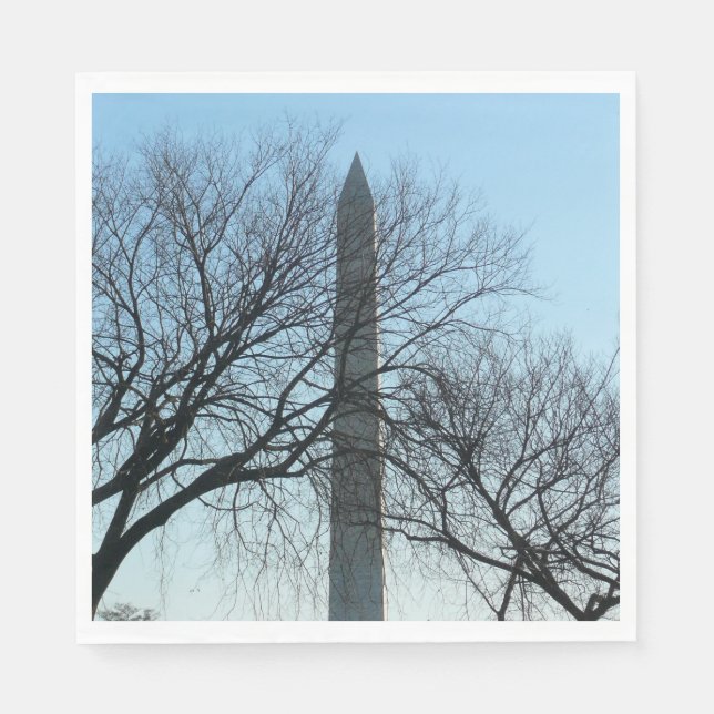 Washington Monument in Winter I Landscape Napkin (Front)