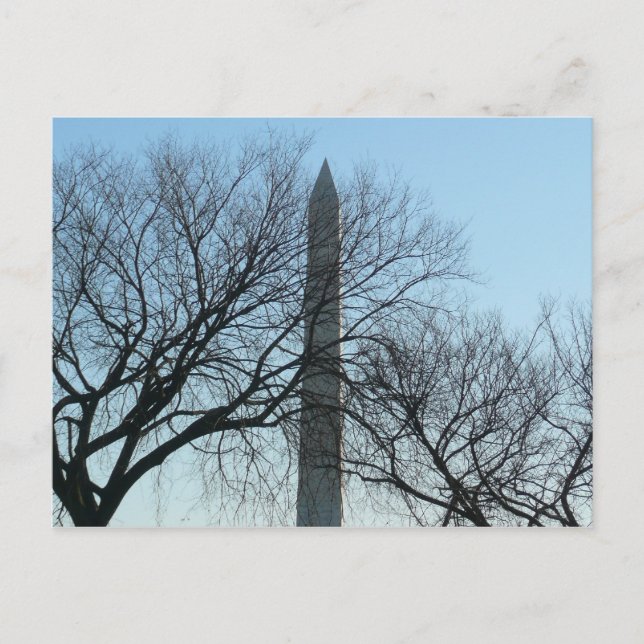 Washington Monument in Winter I Landscape Postcard (Front)