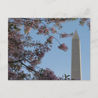 Washington Monument Postcard