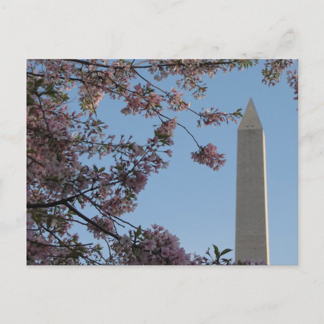 Washington Monument Postcard (Front)