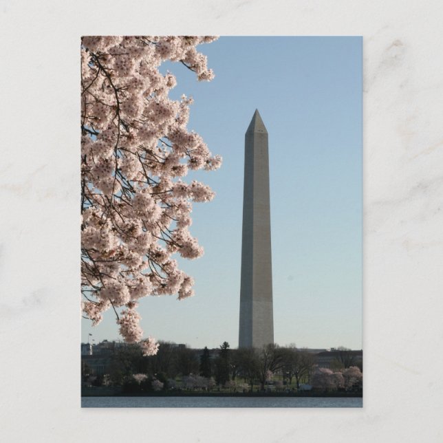 Washington Monument Postcard (Front)