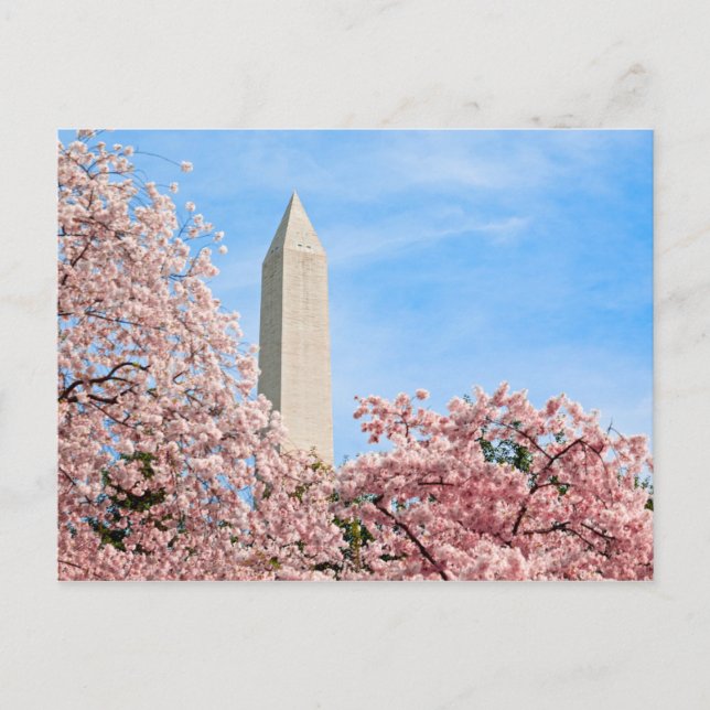 Washington Monument Postcard (Front)