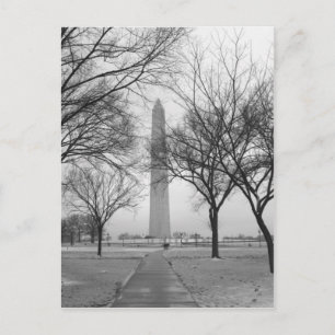 Washington Monument Postcard