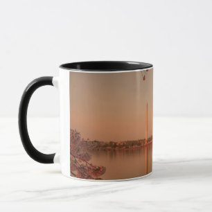 Washington Monument Sakura at sunset. Mug