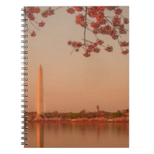 Washington Monument Sakura at sunset. Notebook