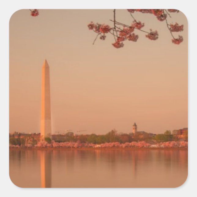 Washington Monument Sakura at sunset. Square Sticker (Front)