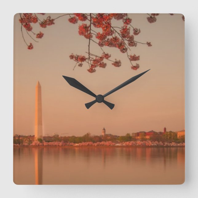 Washington Monument Sakura at sunset. Square Wall Clock (Front)