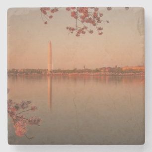 Washington Monument Sakura at sunset. Stone Coaster