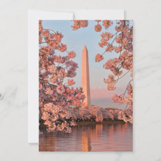 Washington Monument with Cherry Blossoms Card