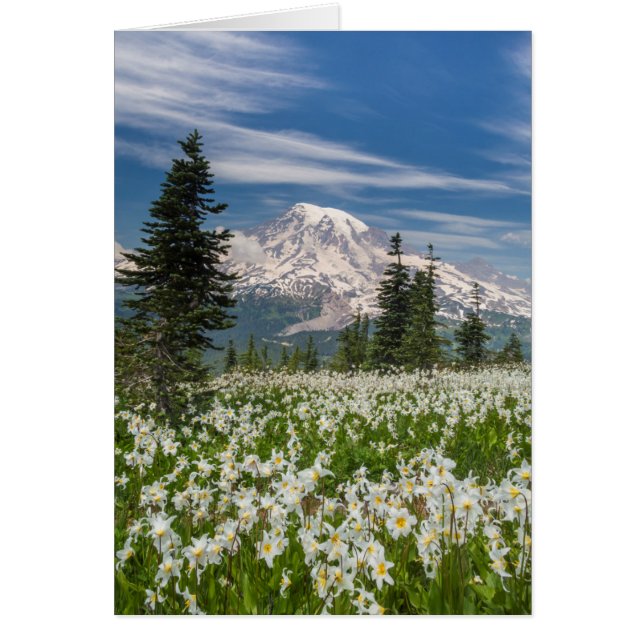 Washington, Mount Rainier National Park 1 (Front)