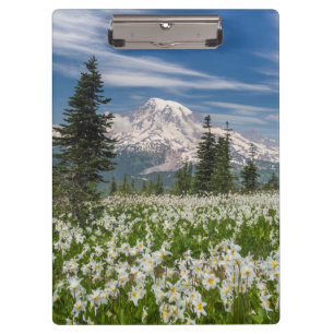 Washington, Mount Rainier National Park 1 Clipboard