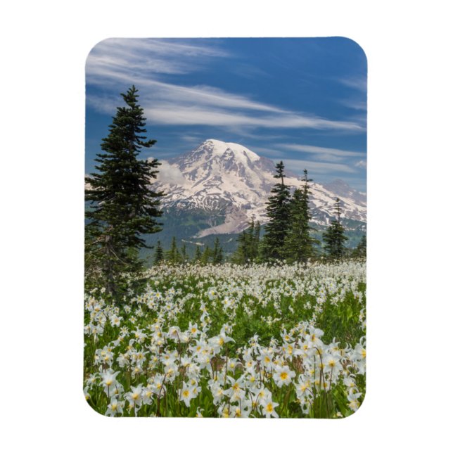 Washington, Mount Rainier National Park 1 Magnet (Vertical)