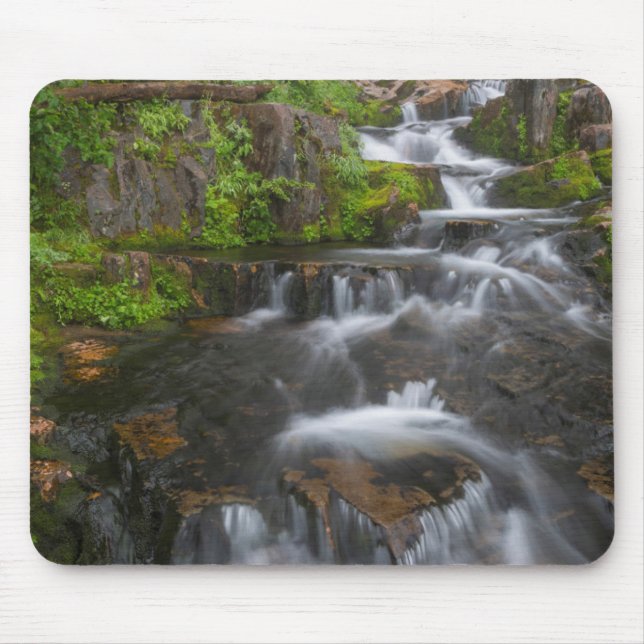 Washington, Mount Rainier National Park 2 Mouse Pad (Front)