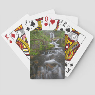 Washington, Mount Rainier National Park 2 Playing Cards