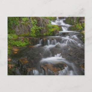 Washington, Mount Rainier National Park 2 Postcard
