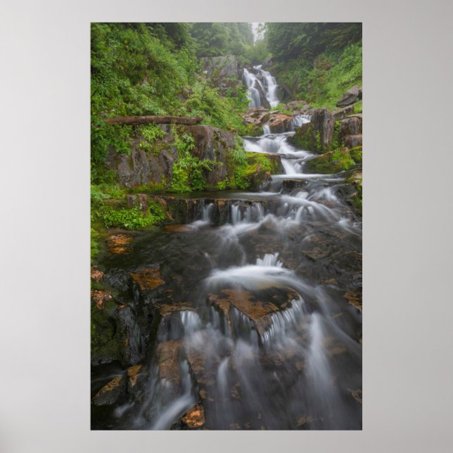 Washington, Mount Rainier National Park 2 Poster (Front)