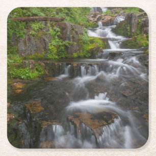 Washington, Mount Rainier National Park 2 Square Paper Coaster