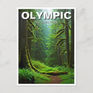 Washington olympic national park hoh rainforest postcard