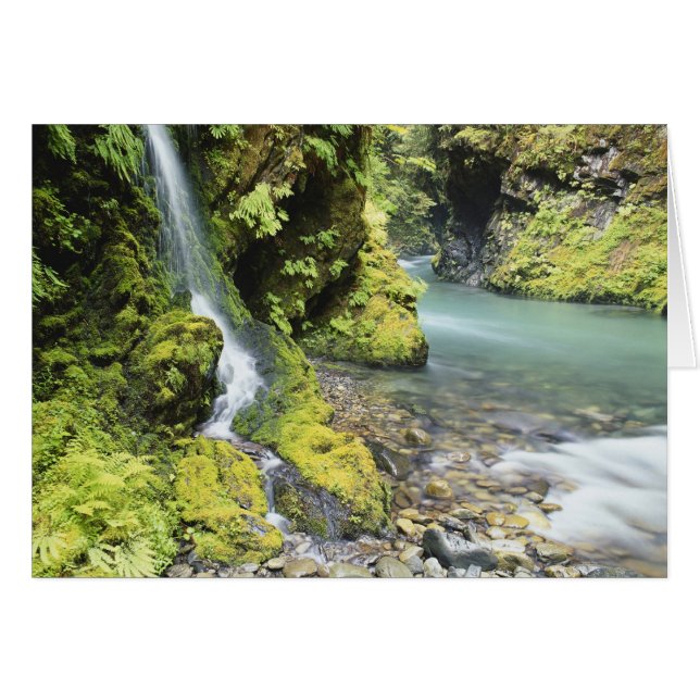 Washington, Olympic National Park, Seasonal (Front Horizontal)