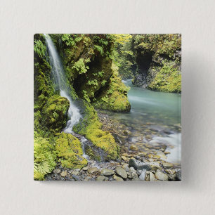 Washington, Olympic National Park, Seasonal 15 Cm Square Badge