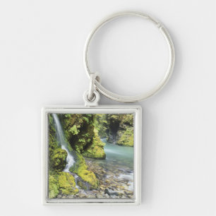 Washington, Olympic National Park, Seasonal Key Ring