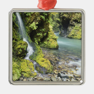 Washington, Olympic National Park, Seasonal Metal Ornament