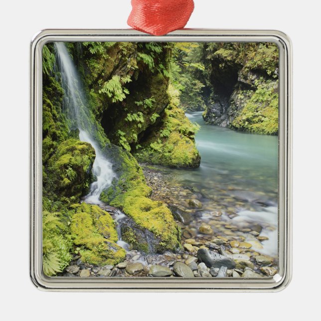 Washington, Olympic National Park, Seasonal Metal Ornament (Front)