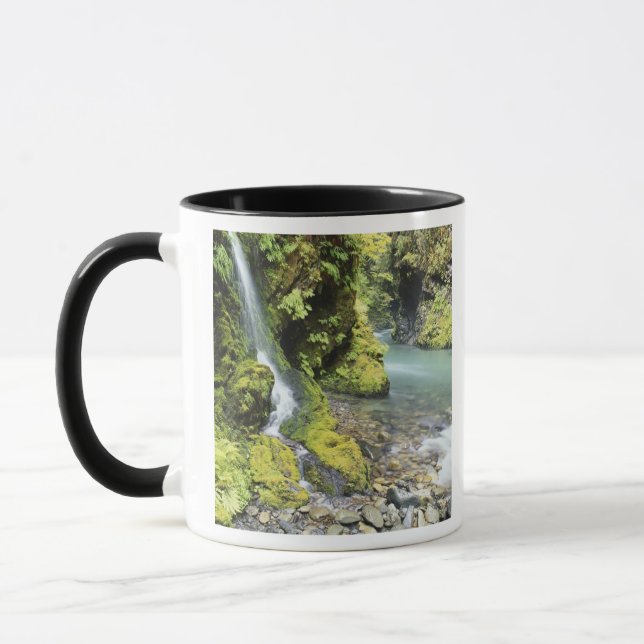 Washington, Olympic National Park, Seasonal Mug (Left)
