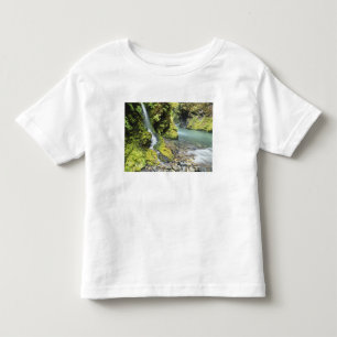 Washington, Olympic National Park, Seasonal Toddler T-Shirt