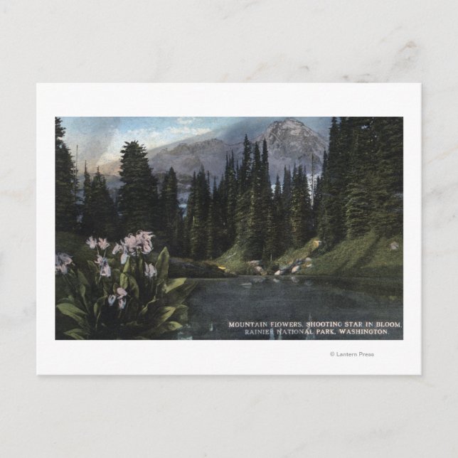 Washington - Rainier National Park, Shooting Sta Postcard (Front)
