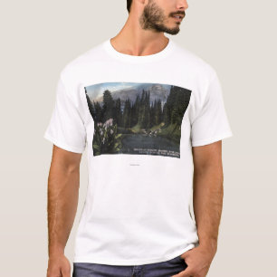 Washington - Rainier National Park, Shooting Sta T-Shirt