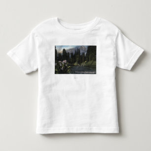 Washington - Rainier National Park, Shooting Sta Toddler T-Shirt