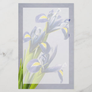 Washington, Redmond, Purple Irises Stationery