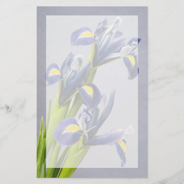 Washington, Redmond, Purple Irises Stationery (Front)