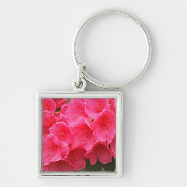 Washington, Seattle, Puget Sound, Discovery Park Key Ring (Front)