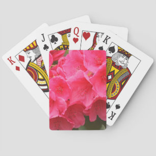 Washington, Seattle, Puget Sound, Discovery Park Playing Cards