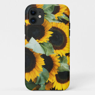 Washington, Seattle, Sunflower for sale pike iPhone 11 Case