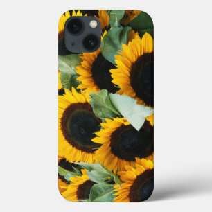 Washington, Seattle, Sunflower for sale pike iPhone 13 Case
