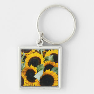 Washington, Seattle, Sunflower for sale pike Key Ring