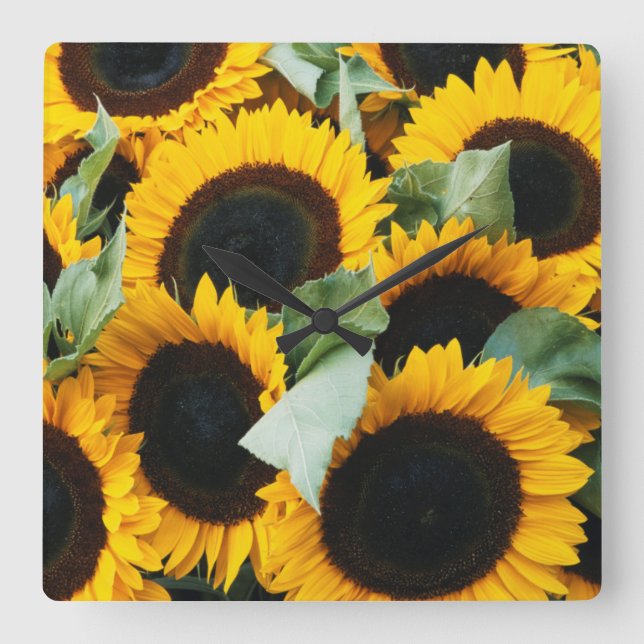Washington, Seattle, Sunflower for sale pike Square Wall Clock (Front)