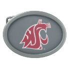 Washington State Cougar